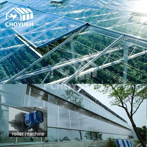 Quality UV Protection Transparent Glass Covered Greenhouse Thickness 8mm for sale