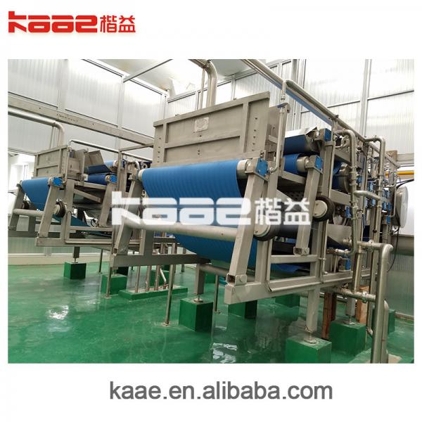 Quality Turnkey blueberry fruits juice processing line for sale