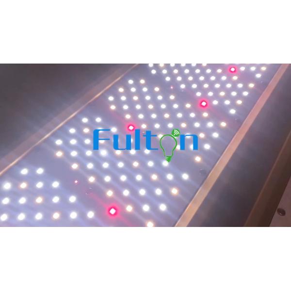 Quality 800W Full Spectrum Greenhouse LED Grow Lights With UV And IR Cannabis for sale
