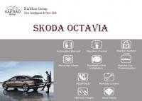 China Skoda Octavia Power Lift Tailgate Auto Boot Opens and Closes Automatically with Hands-Free factory