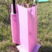 Quality Pink Corrugated Plastic Tree Wrap Waterproof Corflute Tree Guard for sale