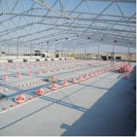 China Interlocking Broiler Floor System for Easy Installation High Pressure Cleaning Standard factory