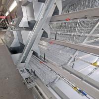 China One Day Old Baby Chick Cage With Full Automatic System factory