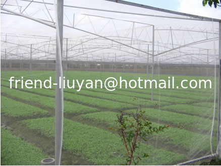 Quality UV Treated Agriculture Insect Net for sale