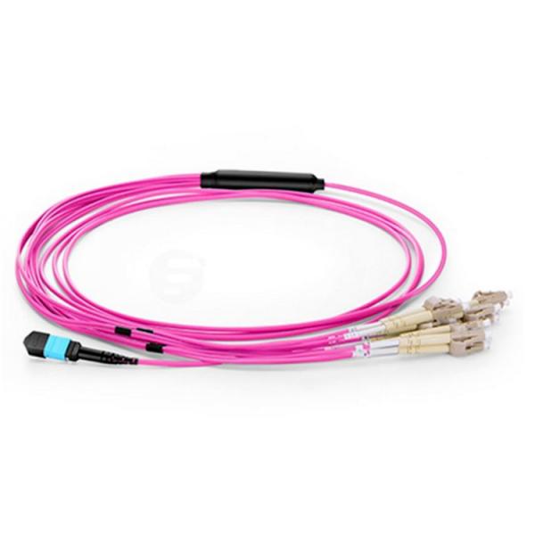 Quality Purple OM4 purple mpo mtp to LC fiber optic patch cord  Fanout 12 cores for sale