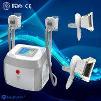 China portable Zeltiq Cryolipolysis Slimming Machine Touch Screen with 2 handles factory