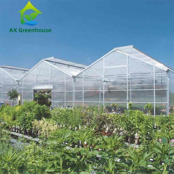 Quality 4m 8m Bay Width Plastic Shed PC Sheet Greenhouse Tomato Farming for sale