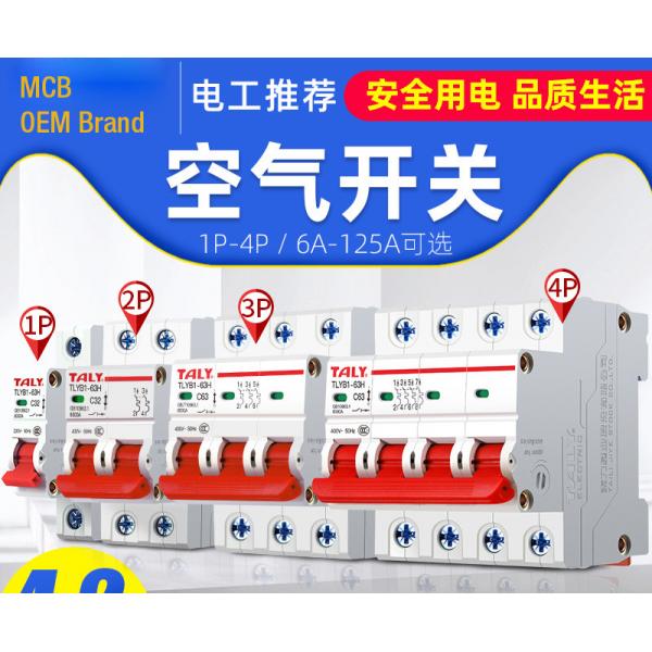 Quality OEM Miniature Circuit Breaker 6~63A, 80~125A, 1P,2P,3P,4P for Circuit Protection AC220~240V Application for sale