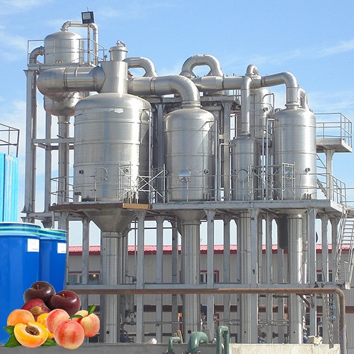China Commercial Peach Processing Plant Apricot Puree Plum Jam Production Line factory