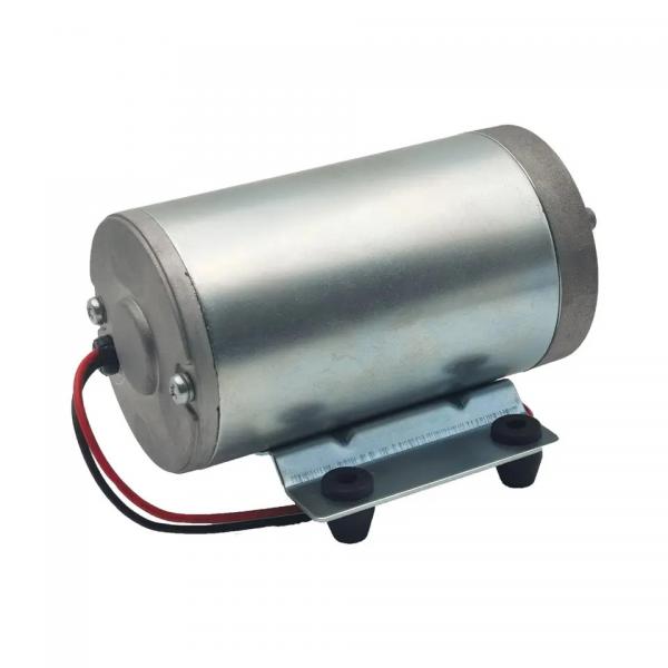 Quality 36V DC Brushless Electric Motor To Pump Water Waterproof 50-100W for sale