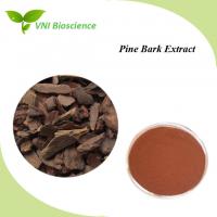 China Pharmaceutical Grade Natural Plant Extracts Supplement Pine Bark Extract Powder factory