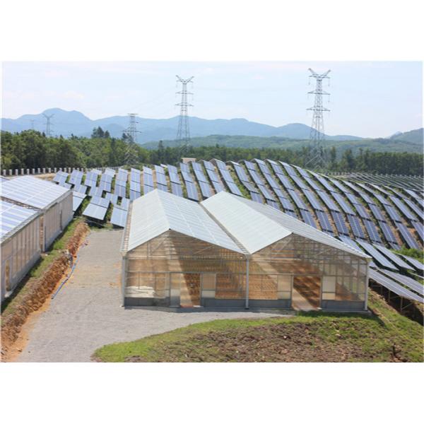 Quality High Density Greenhouse Solar System Economical Planting Hot Dip Galvanized Steel Structure for sale