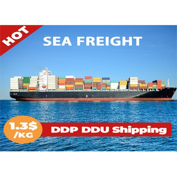 Quality FCL LCL International Sea Freight Forwarding , Sea Freight China To Europe for sale