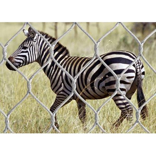 Quality AISI316 Woven Type Wire Rope Stainless Steel Zoo Mesh / Animal Enclosure Fencing for sale
