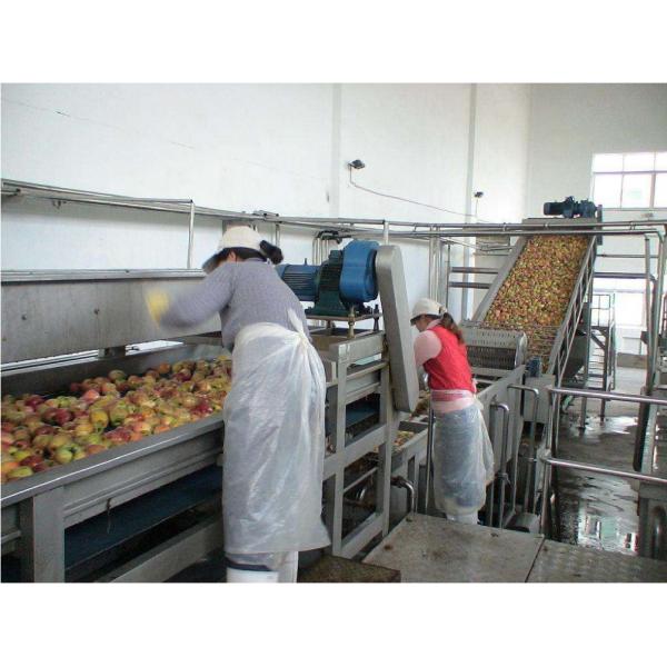 Quality Stainless Steel SUS 304 Wire Mesh Belt Conveyor / Fruit Washing Conveyor Rust Resistant for sale