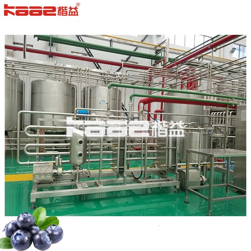 China Commercial Fresh Fruit Juicer Berry Juicer Machine For Berry Blueberry Strawberry Waxberry factory