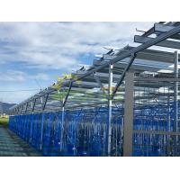 China 6000mm Agricultural Greenhouses Photovoltaic Mounting System Farm Shed for sale