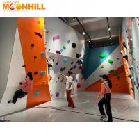 China Multi Colored Climbing Wall Holds Outdoor Customized Resin Maintenance Free factory
