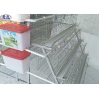 Quality Metal Poultry Layer Chicken Cage , Poultry Layer Cage Anti - Rust Feature for sale