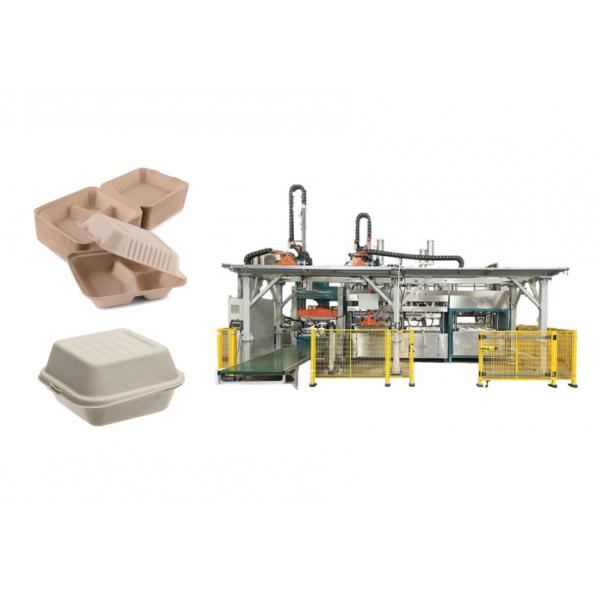Quality Wood Pulp Burger Container Making Machine With Trimming And Stacking Robot for sale
