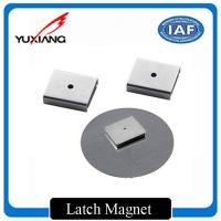 China High Corrosion Resistance Custom Made Magnets Latch Magnet For Speakers factory