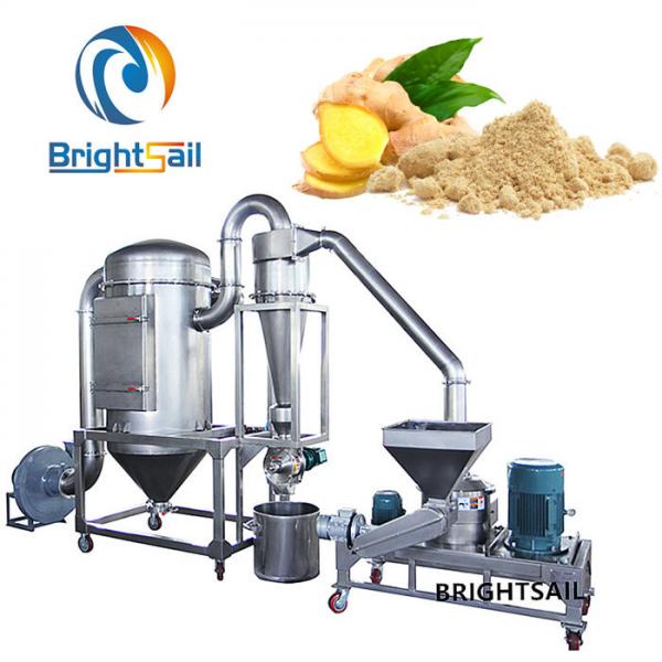 Quality 60 To 300 Mesh Fine Powder Crusher Machine Ginger Grinder Pulverizer With Ce for sale