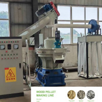 Quality 55kw Biomass Pellet Production Line 800-1000kg/H Ring Die Pellet Production Line for sale