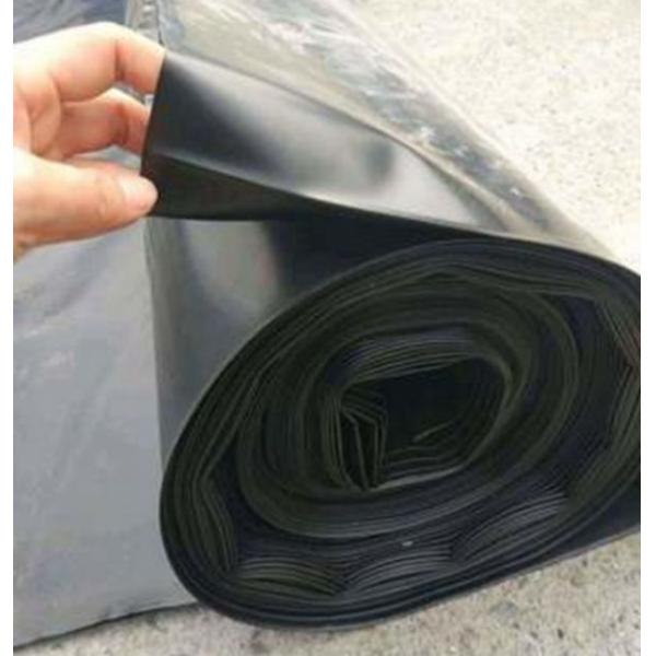 Quality Professional HDPE Geomembrane Liner LDPE EVA 30 Mil Geomembrane Liner For Water for sale