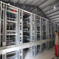 China Farm Automatic Egg Collection System No Egg Breakage For Chicken Egg Land Saving factory
