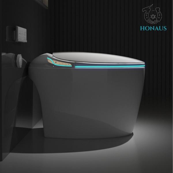 Quality CUPC European 110v/220VAC Bathroom Toilet Bowl Smart Commode Auto Wash for sale