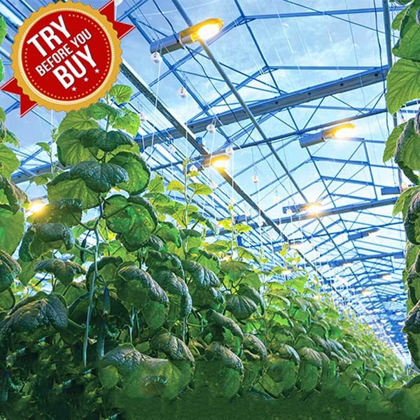 Quality Greenhouse Solar System for sale