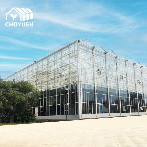 Quality Venlo Glass Polycarbonate Greenhouse With Seedbed Hydroponic For Tomato Strawberry for sale