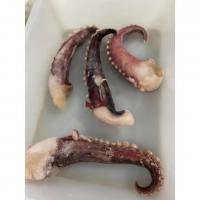 Quality A Grade Quality Hot selling Frozen Giant squid tentacles NW 30 60g for sale