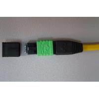 Quality ISO, ROHS APC/UPC/PC Multi-core Multi-channel Pluggable MPO/MTP Fiber Optic for sale