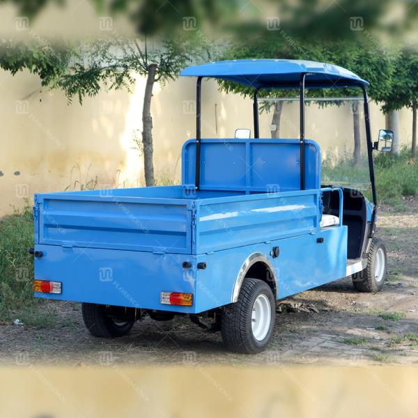 Quality 2 Seater Electric Carryall Golf Cart Heavy Duty ODM for sale