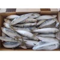 China Fresh 75g Sardinops Melanostictus Frozen Sardine Fish factory