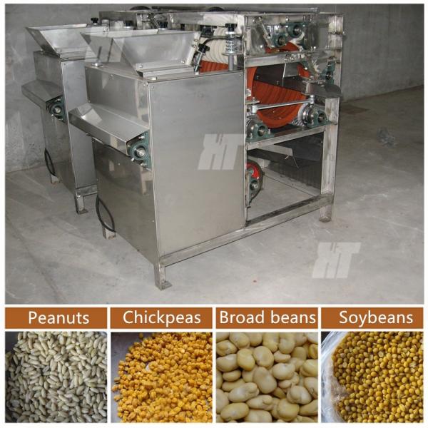Quality 250kg/H Wet Groundnut Skin Remover Machine Almond Chickpeas Peeling Machine for sale