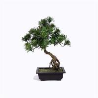China Ideal Imitation Bonsai Trees Rejuvenating Lush Fronds For Harried Modern Lifestyle factory