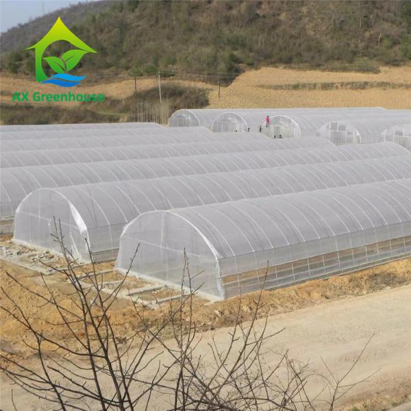 Quality 0.06mm 0.20mm Thick Flm Poly Tunnel Greenhouse Hot Galvanised Steel Greenhouse for sale