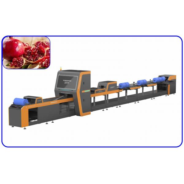 Quality 1 Channel Mechanical Pomegranate Sorting Grading Machine Computer Control for sale