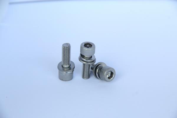 Stainless steel Anti-theft screw