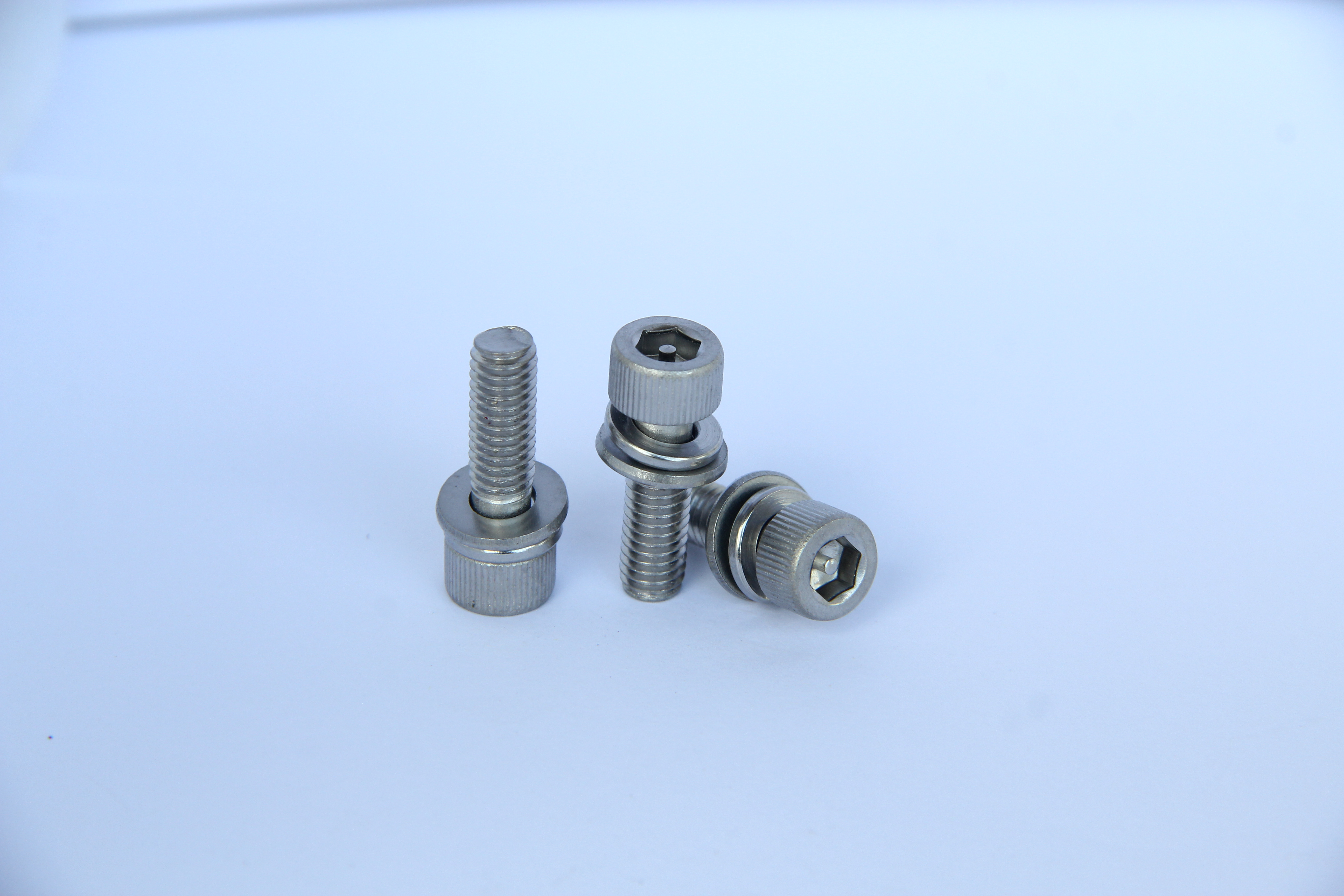 Stainless steel Anti-theft screw