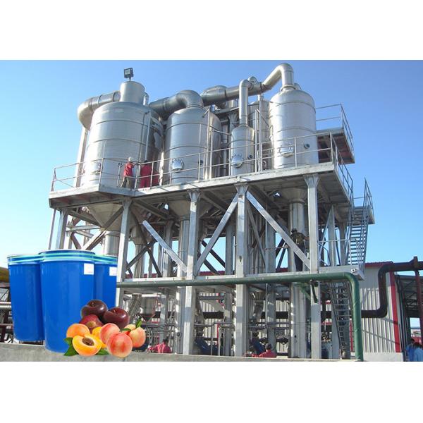 Quality Stainless Steel 304 Fruit Processing Plant High Extracting Rate ISO9001 for sale