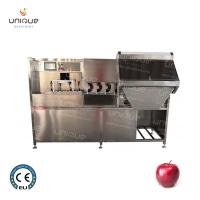 China Fruit Peeling Function Commercial Electric Apple Peeler Corer Slicer 2500*1000*1500 mm factory