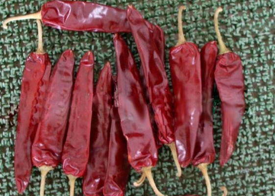Quality Mexican Food Dried Guajillo Chili 5000SHU Dried Red Peppers Paprika for sale