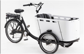 Quality 250W Kid / Cargo Electric Delivery Tricycle With Canopy for sale