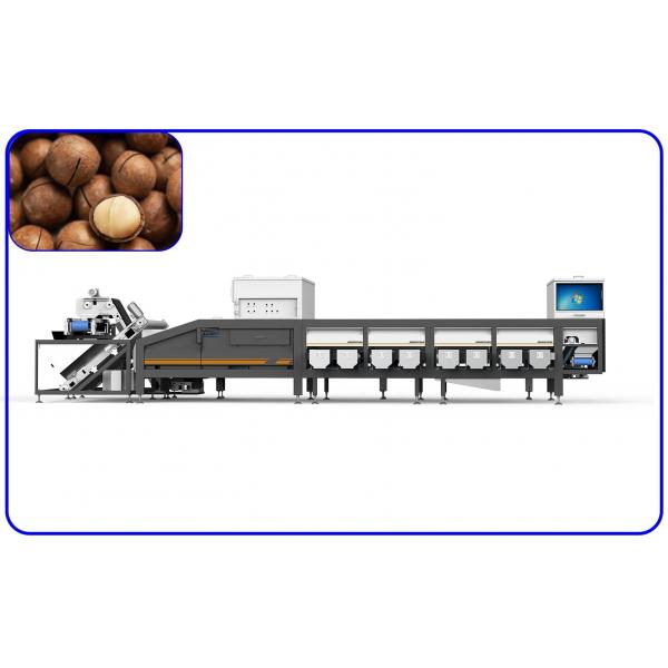Quality Industrial Grading Sorting Machine 50Hz 16 Channel For Macadamia Nuts for sale