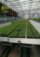 China Hydroponic Trays Seedling Greenhouse Grow Beds For Plants Seedbed / Vegetable factory