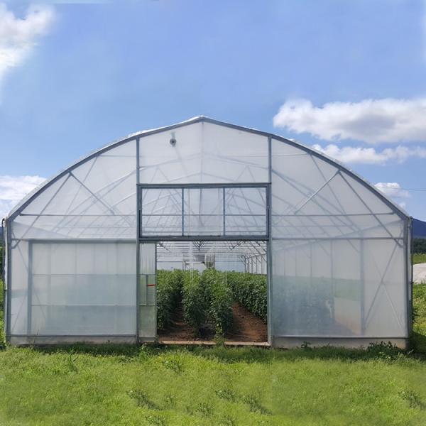 Quality Steel Frame Tunnel Plastic Greenhouse / PE Film Plastic Tomato Greenhouse for sale