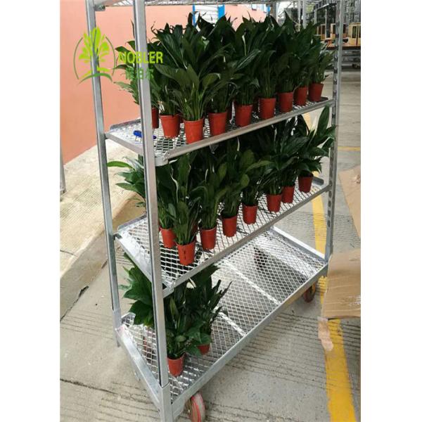 Quality Steel Trolley Dutch Flower Trolley Steel For CC Containers Nylon Wheel Material for sale